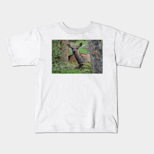 Resting Lady Elk Kids T-Shirt by Leslie Pino Durant